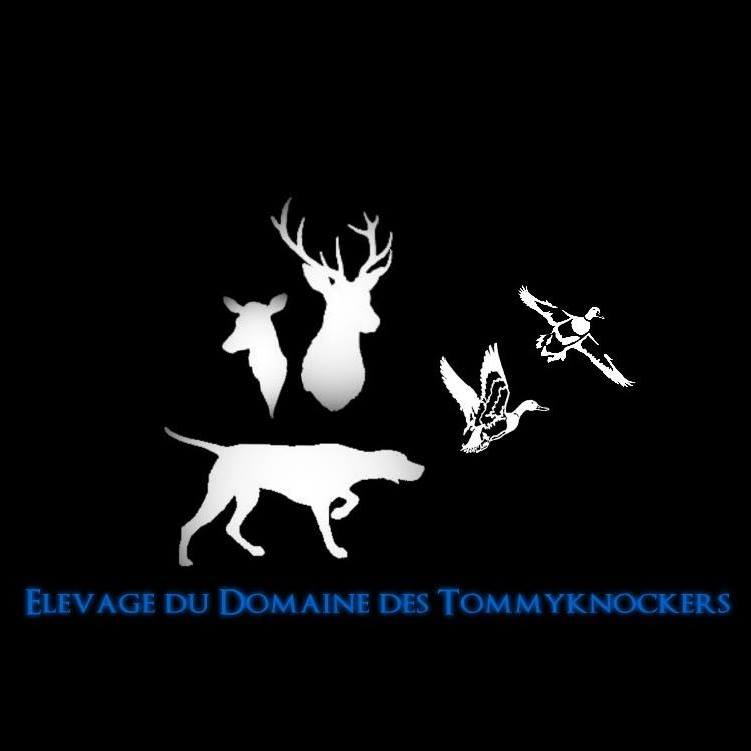 du domaine des Tommyknockers